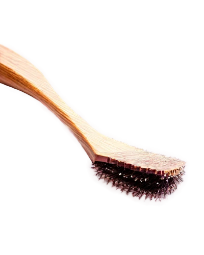 cosmetic brush,hair brush,platyhelminthes,bristles,hairbrush,elegans,micropholis,spermatozoa,flagella,parvulus,lamprey,coloboma,spermatogonia,tooth,eyelash,ectoparasite,hairbrushes,microhylid,toothcomb,brush,Conceptual Art,Oil color,Oil Color 09