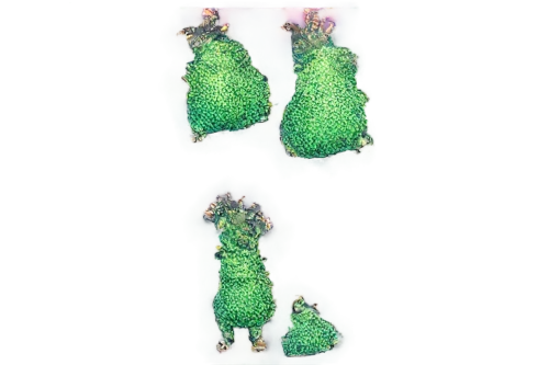 rotifers,asparagaceae,cactus digital background,selaginella,ascochyta,leafhoppers,nopal,marquerite,cactus,asparagales,nepenthaceae,primulaceae,phyllaries,mesophyll,fagaceae,cactaceae,bryophyte,ascidians,cupressaceae,azolla,Conceptual Art,Sci-Fi,Sci-Fi 18