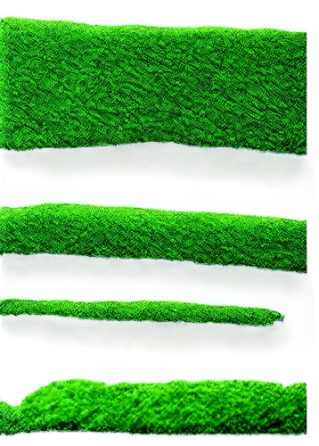 microalgae,azolla,block of grass,chlorophyll,chloropaschia,green border,chlorophyta,chlorophylls,zostera,spirulina,xylem,bilayer,green wallpaper,stomata,cyanobacteria,artificial grass,chloroplasts,citronella,grass blades,wheatgrass,Conceptual Art,Oil color,Oil Color 19