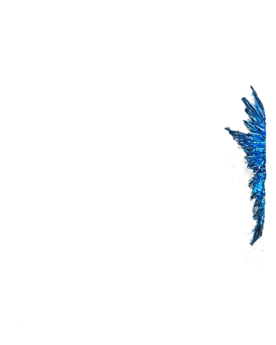 feather on water,butterfly swimming,skydiver,freediver,diving bird,a flying dolphin in air,seaspray,plongeon,jetfoil,backscatter,dive,skydive,water display,freefall,jet and free and edited,wingsuit,underwater background,diver,underwater,dolphin swimming,Illustration,Retro,Retro 26