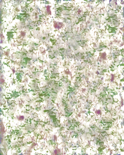 degenerative,biofilms,biofilm,kngwarreye,flowers png,generated,reionization,stereogram,seamless texture,enantiopure,deconvolution,monolayer,blotter,sphagnum,bilayer,spongiform,multicellular,tryptamine,topologist,cytokeratin,Unique,Paper Cuts,Paper Cuts 05