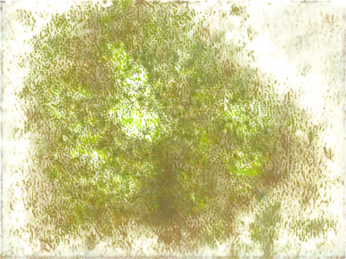 veil yellow green,yellow wallpaper,sackcloth textured background,watercolour texture,olivine,crayon background,chlorosis,textured background,lemon background,sulfur,halophyte,pigment,sphagnum,yellow background,degenerative,background abstract,photopigment,palimpsest,enantiopure,abstract background,Photography,Fashion Photography,Fashion Photography 09