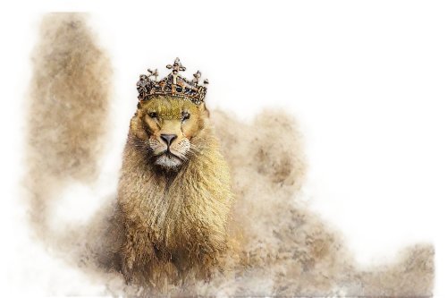 forest king lion,male lion,golden crown,african lion,heacock,lince,female lion,patagonian hare,panthera leo,lion - feline,leonine,yellow crown amazon,goldlion,king crown,gold crown,viscacha,mandylion,lionhead,vicuna,headdress,Conceptual Art,Graffiti Art,Graffiti Art 04