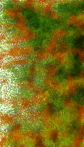 chameleon abstract,watercolour texture,wavelet,brakhage,wavelets,hyperstimulation,seagrass,color texture,hyperspectral,textile,multispectral,palimpsest,water surface,fabric texture,kngwarreye,marpat,dithered,variegated,rivulets,generated,Photography,Black and white photography,Black and White Photography 04