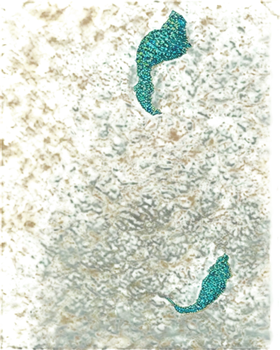 hornworm,seahorses,hornworms,puccinia,mermaid scales background,stigmella,budworm,trumpet lichen,pipefishes,cyanobacteria,microlepis,leafminer,azolla,christmastree worms,hydrilla,zooids,microflora,wurm,caterpillars,cyanobacterium,Illustration,Paper based,Paper Based 10