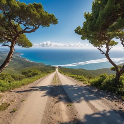 the road to the sea,coastal road,lycian way,kefalonia,sardinia,sand road,winding road,peloponnese,dirt road,winding roads,mountain road,cephalonia,balearic islands,tree lined lane,the road,south france,corsica,greek island,car wallpapers,country road,Photography,General,Realistic