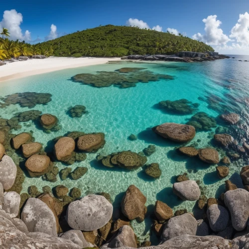 grenadines,similan island,similan,bvi,praslin,seychellois,caribbean sea,usvi,natuna indonesia,seychelles scr,mustique,anse,shipwreck beach,duiker island,caribbean beach,caribbean,guadeloupe,chagos,niue,micronesia,Photography,General,Realistic