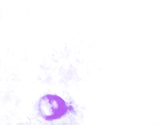 purple blue ground,purpleabstract,purpura,photopigment,fluorescent dye,isolated product image,glioma,wall,microlensing,globules,angioma,wavelength,microspheres,glioblastoma,mermaid scales background,fluorescein,neurospora,beguiristain,autoradiography,flunitrazepam,Illustration,Abstract Fantasy,Abstract Fantasy 04