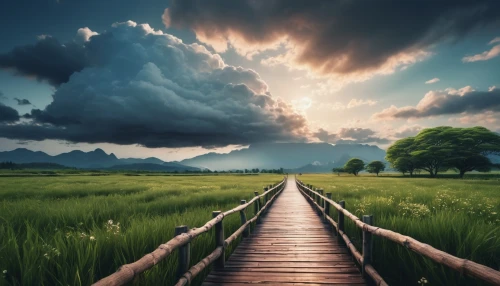 the mystical path,landscape background,pathway,nature wallpaper,wooden path,nature background,wooden bridge,the path,landscape photography,nature landscape,hiking path,walkway,landscapes beautiful,meadow landscape,heaven gate,the way of nature,beautiful landscape,aaaa,landscape nature,background view nature,Photography,General,Realistic