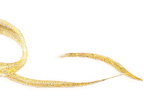 elegans,ophiusa,ercp,micropholis,curved ribbon,gold bracelet,mamaea,schistosoma,flagella,golgi,nematoda,microlepis,lamprey,platyhelminthes,eel,sphyrna,sea eel,roundworms,parasite,trematode,Illustration,Black and White,Black and White 17