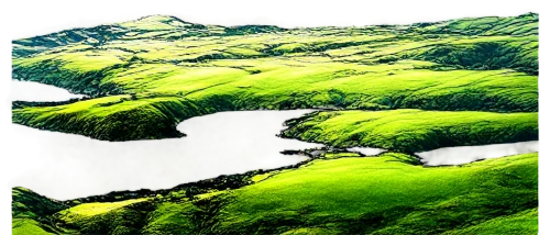 moss landscape,green landscape,tea field,virtual landscape,igatpuri,green valley,green fields,kudremukh,rice terraces,green wallpaper,tea plantations,fractal environment,green forest,green waterfall,green trees with water,topographer,savanes,hills,tea plantation,verdant,Illustration,Children,Children 02