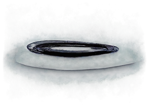 sewer,mirror in a drop,culvert,saucer,manhole,ny sewer,toroid,sinkhole,waterholes,crescent spring,manholes,porthole,toroidal,sinkholes,water hole,water droplet,cistern,waterhole,ufo,wormhole,Photography,Black and white photography,Black and White Photography 01