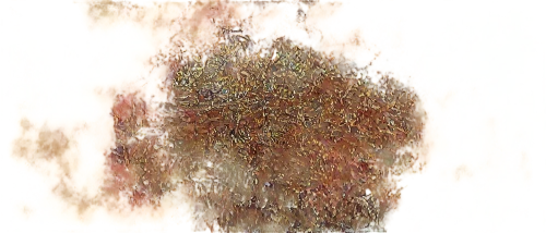 transparent image,kngwarreye,disintegration,overlaid,fragmenting,impressionist,impressionistic,fragmented,innervated,rotoscope,forcefield,immiscible,background abstract,transparent background,defocus,szeemann,deformations,generated,emanation,tree texture,Illustration,Realistic Fantasy,Realistic Fantasy 39