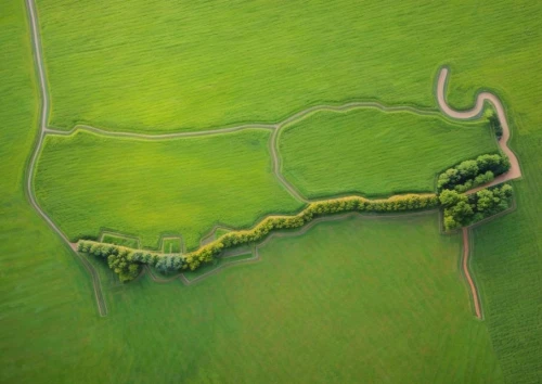 uffington,polder,avebury,meandering,polders,elmley,caerwent,henges,horse shoe,meanders,green fields,green landscape,caerlaverock,meander,landform,romney marsh,earthworks,mosel loop,aerial landscape,towton,Common,Common,Natural