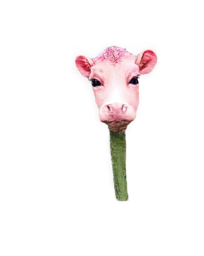 pigface,seed cow carnation,kawaii pig,pig,piggot,suckling pig,lambada,puerco,pigmentosum,ruminant,pua,mini pig,eppolito,pigman,pigmeat,flower animal,porc,pinkola,porcine,swineherd,Conceptual Art,Daily,Daily 05