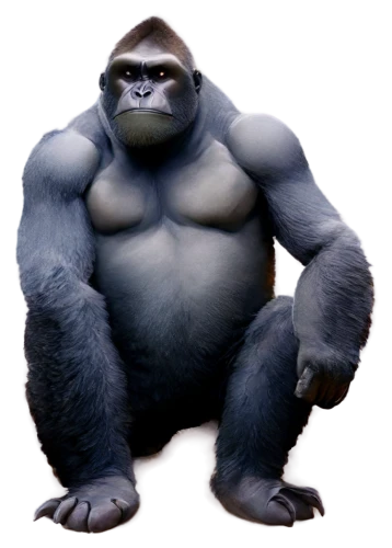 gorilla,ape,shabani,mwonzora,apeman,haramirez,hulka,prosimian,dk,simian,3d model,konga,virunga,goro,gimlin,grek,silverback,koggala,rilla,sumo,Art,Artistic Painting,Artistic Painting 37