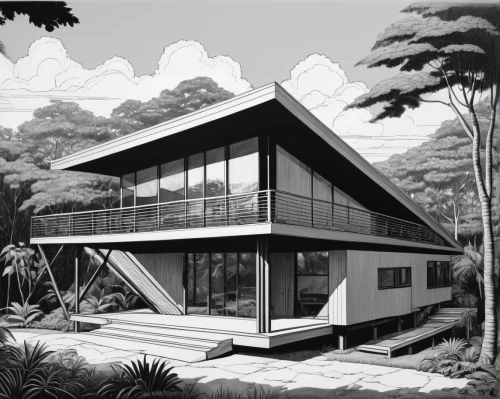 mid century house,mid century modern,neutra,eichler,midcentury,sketchup,fordlandia,mid century,tropical house,modern house,prefab,dunes house,cantilevers,docomomo,modern architecture,forest house,frame house,cubic house,mies,beach house,Illustration,Black and White,Black and White 18