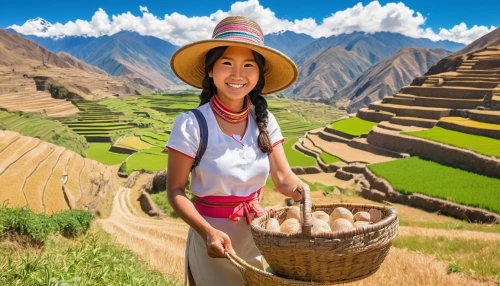 peruvian women,rice terrace,peru,vietnamese woman,peru i,agrotourism,peruvians,sawah,agrokomerc,bolivianos,the rice field,eulalio,sapa,rice fields,goatherd,chukha,colca,puno,marvel of peru,peruano,Illustration,Japanese style,Japanese Style 01