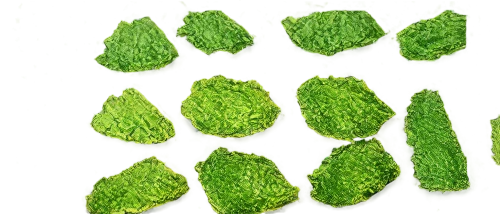 microalgae,chloropaschia,azolla,stomata,parsley leaves,chlorophylls,chloroplasts,water spinach,microsporum,duckweed,cercospora,chlorophyll,puccinia,chloroplast,green wallpaper,bryophyte,microflora,spring leaf background,meristems,bryophytes,Art,Classical Oil Painting,Classical Oil Painting 19