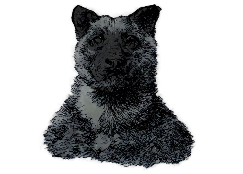 heeler,constellation wolf,wolfed,scottie dog,schnaufer,wolpaw,wolfsangel,elkhound,schnauss,black shepherd,trico,schindewolf,blackwolf,schnauzer,wolstein,wolfdog,wolffian,wolfgramm,european wolf,canis lupus,Illustration,Japanese style,Japanese Style 21