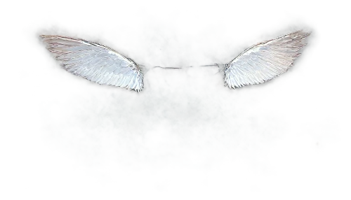 winged heart,angel wing,angel wings,hindwings,winged,wings,mothman,forewing,wing,bird wings,butterfly background,bird wing,whitewings,isolated butterfly,butterfly isolated,hindwing,sky butterfly,butterflied,anjo,white butterfly,Illustration,Realistic Fantasy,Realistic Fantasy 25