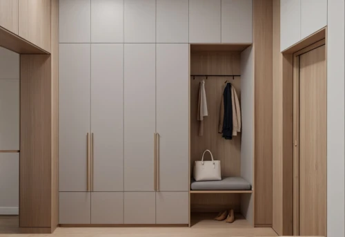 walk-in closet,storage cabinet,wardrobes,closets,mudroom,cupboard,cabinetry,garderobe,armoire,cupboards,dumbwaiter,wardrobe,schrank,closet,pantry,associati,hinged doors,gaggenau,cabinets,modern minimalist bathroom,Photography,General,Natural