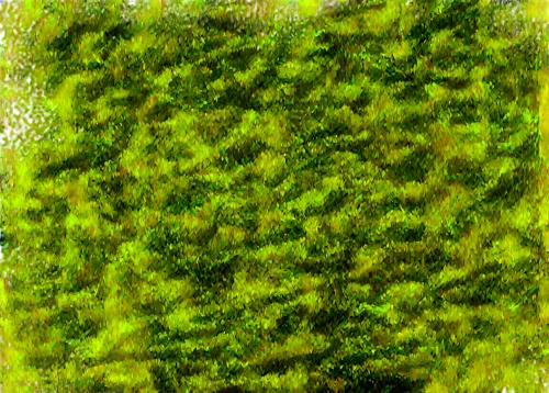 block of grass,tree moss,hydrilla,forest moss,fir green,green wallpaper,bryophyte,grass,spirulina,green background,chlorosis,green tree phyton,tree texture,green grain,green plant,shrubbery,green tree,sphagnum,greened,vegetation,Photography,Black and white photography,Black and White Photography 11