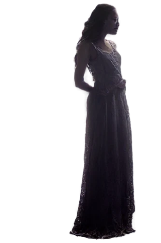 woman silhouette,galadriel,mystical portrait of a girl,nightdress,llorona,melian,schierholtz,isoline,girl in a long dress,schierke,eurydice,elenore,persephone,cosette,nessarose,orona,arwen,the girl in nightie,margaery,girl in a long dress from the back,Art,Artistic Painting,Artistic Painting 41