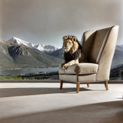 natuzzi,wing chair,landseer,ekornes,willink,minotti,armchair,lion white,chaise lounge,leonine,aslan,fischl,kartell,investec,rovere,cattelan,shernoff,the horse-rocking chair,photo shoot with a lion cub,recliner