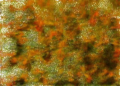 watercolour texture,tree texture,background abstract,beech hedge,birds abstract,chameleon abstract,color texture,leaves frame,impasto,brakhage,autumn pattern,plants yellow and red,foliage coloring,textile,forest moss,autumn leaf paper,kngwarreye,foliage leaves,arborvitae,kleinbild film,Illustration,Retro,Retro 21