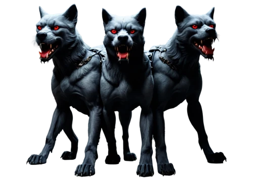 cerberus,hellhounds,hellhound,derivable,quadrupeds,barghest,dobermans,three dogs,barghuti,doberman,werewolves,german shepards,blackwolf,skinwalkers,anubis,canines,werewolve,schindewolf,chimeras,two wolves,Illustration,Realistic Fantasy,Realistic Fantasy 05