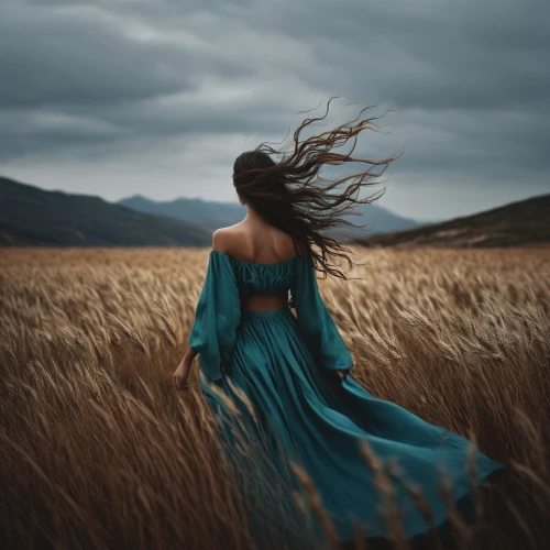 little girl in wind,windswept,windblown,grasses in the wind,wind,winds,blustery,windy,wuthering,girl walking away,wind machine,viento,hosseinian,conceptual photography,gusts,deviantart,hossein,windhover,windstorms,girl in a long dress,Photography,Documentary Photography,Documentary Photography 08
