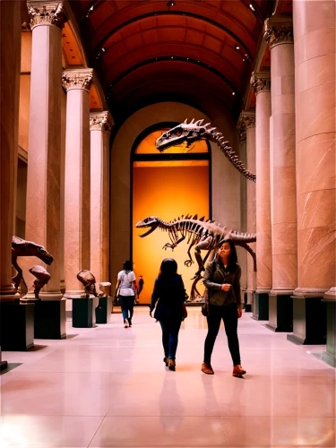 amnh,smithsonian,museumgoers,museums,paleontology,maximilianeum,galleries,paleontological,shedd,palaeontological,ornithischians,fernbank,prehistoric,paleontologists,phytosaur,musees,the museum,mosasaurs,theropod,ornithischian,Conceptual Art,Daily,Daily 07