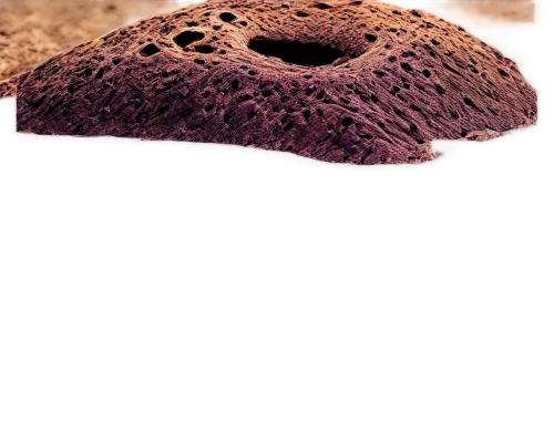 planitia,venus surface,olympus mons,intercrater,uluru,fossae,sossusvlei,hollow hole brick,amphorae,leucostoma,hirise,erosion,planum,volcanism,ant hill,paleosol,temazcal,sediment,bryozoan,fumarole,Illustration,Vector,Vector 13