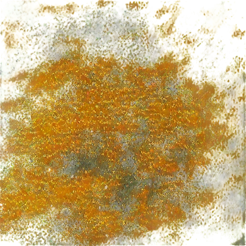 trumpet lichen,lichen,xanthomonas,larch discoloration,lichens,bryophyte,puccinia,dermatophytes,trichoderma,stigmella,anomeritis,sargassum,trichophyton,ascochyta,springtails,cercospora,dothideomycetes,sphagnum,spiderlings,leafminer,Illustration,Realistic Fantasy,Realistic Fantasy 32