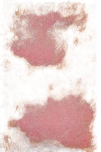 epidermis,watercolour texture,gold-pink earthy colors,desert coral,epidermal,kngwarreye,textured background,soft coral,watercolor texture,rosacea,sackcloth textured background,biofilm,schizonts,virga,plum stone,pigmentation,cytokeratin,efflorescence,membranacea,pink salt,Illustration,Black and White,Black and White 07