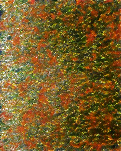 autumn leaf paper,carpet,azolla,kngwarreye,autumn pattern,marpat,hyperspectral,puccinia,lava river,multispectral,carpeted,xanthophylls,moss landscape,groundcovers,forest moss,nasturtium leaves,terrazzo,duckweed,groundcover,flower carpet,Photography,General,Commercial