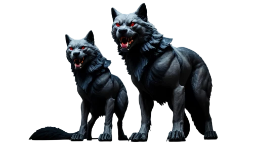 hellhounds,cerberus,two wolves,barghest,hellhound,barghuti,skinwalkers,german shepards,werewolves,werewolve,blackwolf,schindewolf,wolfes,two dogs,lycanthropes,lycans,wolves,quadrupeds,black shepherd,behemoths,Photography,Fashion Photography,Fashion Photography 18