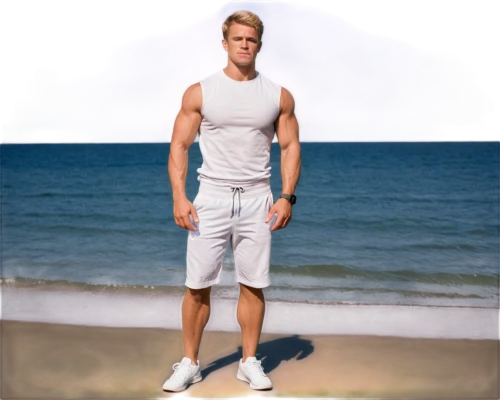 cody,thad,hauer,basshunter,ziering,helander,edge muscle,vydra,tymoshchuk,hulkenberg,ziggler,chaderton,haraldsson,bjorkman,lundgren,mizanin,beach background,arnoldus,paulsson,bordafjordur,Illustration,Realistic Fantasy,Realistic Fantasy 19