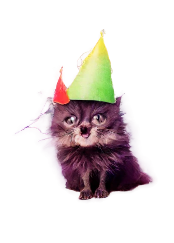 party hat,kittikachorn,birthday hat,witches' hat,witch's hat icon,wizard,witch hat,cat sparrow,witches hat,thunderpuss,party hats,tea party cat,kittani,ognyan,cat image,tomte,catterson,witch's hat,firecat,kittleson,Illustration,Abstract Fantasy,Abstract Fantasy 22