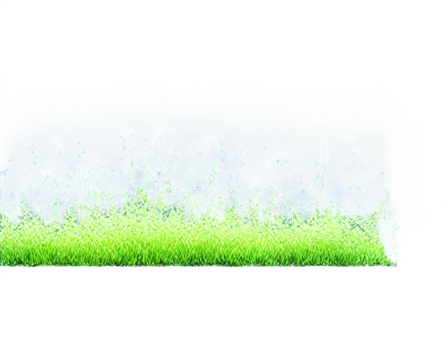 blooming grass,grass blossom,dew on grass,grass,green grass,grasslike,dandelion background,grass grasses,aaaa,gras,grassy,block of grass,blades of grass,meadows of dew,green meadow,blade of grass,aaa,green lawn,dandelion field,cordgrass,Conceptual Art,Daily,Daily 08