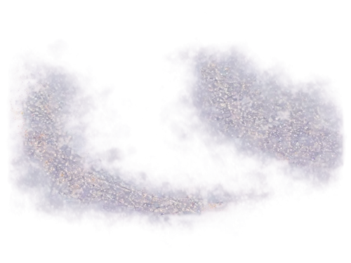 rna,ubiquitination,chromosomes,constellation swan,meiosis,mitosis,anaphase,microtubules,entamoeba,glitter hearts,platyhelminthes,snrna,cytogenetic,spirochetes,cardiomyocytes,microrna,micrornas,conformations,gpcr,ssrna,Illustration,Black and White,Black and White 09