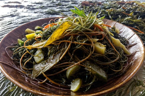 sea salad,seaweeds,macroalgae,eelgrass,seaweed,whitebait,water spinach,bladderwort,cryptocoryne,seagrasses,lactuca,glass noodle salad,aquatic plant,alfalfa sprouts,makguksu,fenchel,wakame,juncea,kelp,sweetgrass