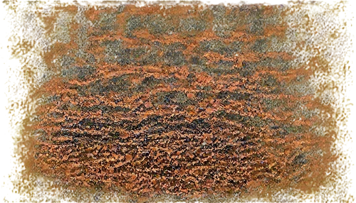 anthill,larch discoloration,rusty door,rusty chain,pomace,coir,ocher,red earth,tree texture,fire ants,sphagnum,red sand,rusty cars,carpet,bee colony,beech hedge,biofilm,ant hill,brown mold,degenerative,Illustration,Vector,Vector 21