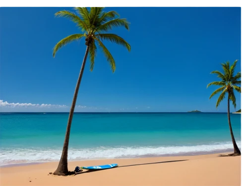 coconut trees,caribbean beach,tropical beach,dream beach,coconut palms,coconut palm tree,coconut tree,caribbean,the caribbean,antilles,tropical sea,guadeloupe,tobago,beautiful beaches,caribbean sea,guadeloupean,beautiful beach,beach landscape,coconut palm,brazilian beach,Art,Artistic Painting,Artistic Painting 26