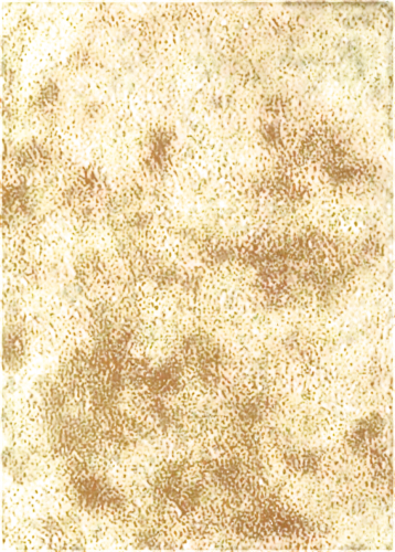 sunflower lace background,brown mold,yellow wallpaper,sargassum,xanthomonas,puccinia,brettanomyces,xanthophylls,seamless texture,pollen warehousing,yeasts,pollen,marpat,anomeritis,blossom gold foil,coagulate,kngwarreye,autumn pattern,cyclospora,sunflower paper,Art,Artistic Painting,Artistic Painting 34