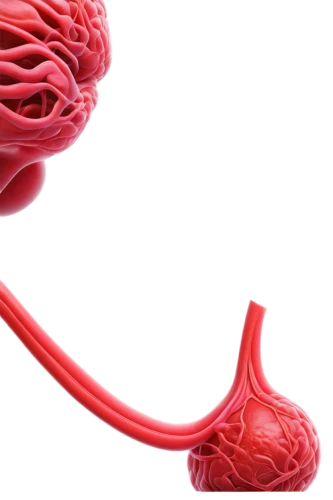 hypercholesterolemia,microcirculation,cardiovascular,microvascular,coronary vascular,dyslipidemia,arteriovenous,human cardiovascular system,hyperlipidemia,thrombophilia,lipoprotein,thrombotic,arteriole,anticoagulation,triglycerides,thrombosis,thromboembolism,neurovascular,endothelial,antiplatelet,Photography,Documentary Photography,Documentary Photography 27