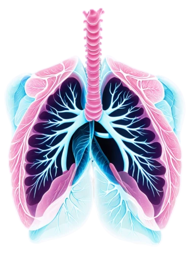 respiratory,pulmonary,pneumonitis,pulmonology,pleuropneumonia,bronchial,lungs,pneumoconiosis,emphysema,pulmonic,lung cancer,pneumothorax,expiratory,inhalational,creatinine,albuterol,lung,bronchiectasis,pleurisy,tachypnea,Conceptual Art,Fantasy,Fantasy 24