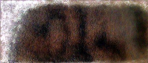 sfumato,monotype,rusty door,brakhage,oil stain,brown fabric,textured background,daguerreotype,watercolour texture,pintada,kleinbild film,counting frame,doormat,iron door,sackcloth textured background,isolated product image,fragment,delamination,calotype,bronze wall,Illustration,Black and White,Black and White 23