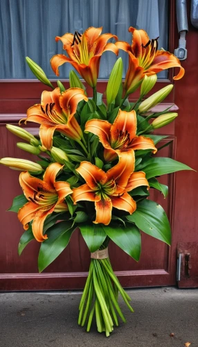 orange tulips,tulip bouquet,orange flowers,floral arrangement,flower arrangement,orange lily,flower arrangement lying,clivia,flower bouquet,bouquets,tuberosa,orange petals,orange roses,strelitzia orchids,trumpet flowers,orange red flowers,buchet,orange flower,bouquet of flowers,red orange flowers,Photography,General,Realistic